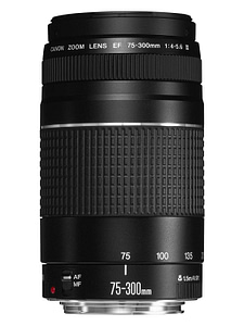 Read more about the article Canon EF 75-300 mm f/4-5.6 III Telephoto Zoom Lens for Canon SLR Cameras (Black)