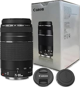 Read more about the article EF 75-300 mm f/4-5.6 III Telephoto Zoom Lens Compatible with Canon SLR/DSLR Camera (Black)