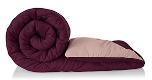 Read more about the article Amazon Brand – Solimo Microfibre Reversible Comforter, Single (Plum Purple and Moody Mauve, 200 GSM)