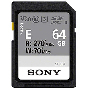 Read more about the article Sony SF-E64 Hi- Speed Memory Card