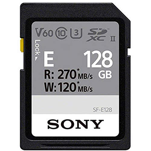 You are currently viewing Sony SF-E128 Hi- Speed Memory Card