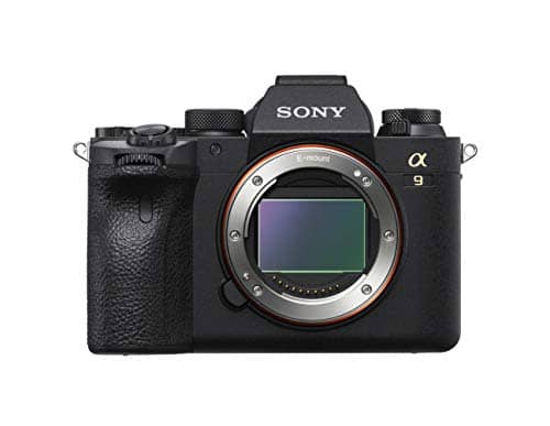 You are currently viewing Sony ILCE-9M2 Full-Frame 24.2MP Digital Zoom Mirrorless Interchangeable Lens Camera Body Only (Black)